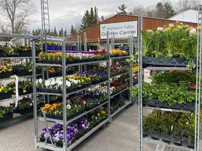 Wholesale Division